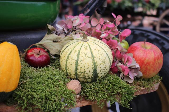 Foto: Patrick Marcher