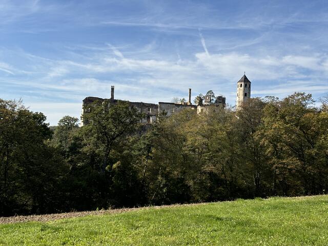 Landschaftsbild mit Blick auf die Burgruine Hohenegg! 
 | Foto: Martina Schweller