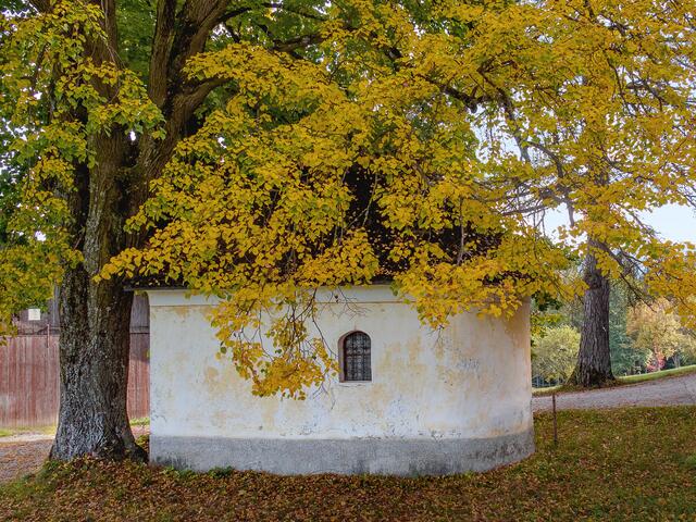 das Dach der kleinen Kapelle wird zum Blätterdach.