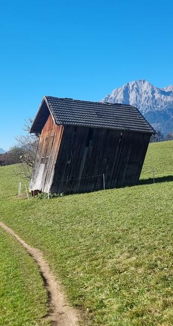 ....Pinzgau 's oder?