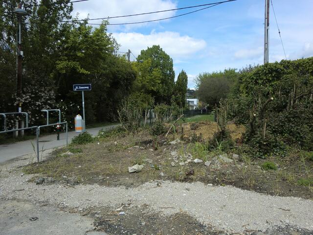 Hier ein Vorschlag für ein Wiener mini-mini Wäldchen um den Schandfleck zu beseitigen! Derzeit kein schöner Anblick!! Wurde auch an zuständige Stelle mitgeteilt!
