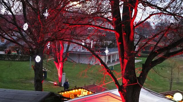"Advent am Neufelder See" ... =&gt; findet heuer am 07. &amp; 08.12.2024 statt.
 =&gt; Nähere Infos und Daten im Beitrag | Foto: © Silvia Plischek