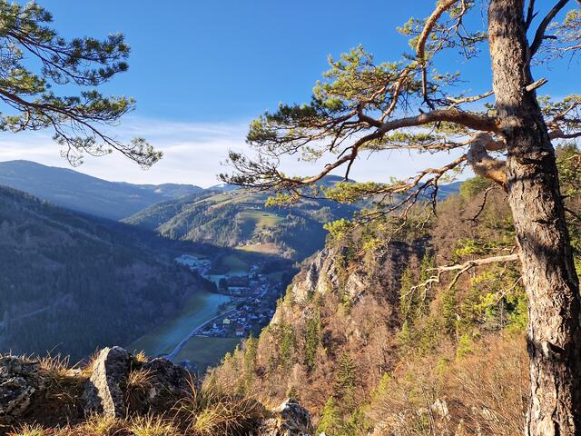 .....trotz Dezember und Weihnachten!