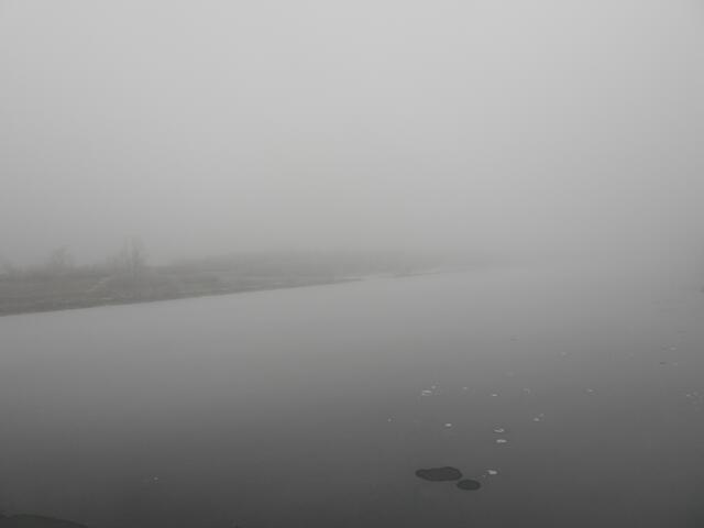 Dieser Tage ist die Donau nicht blau. Selbst dann nicht, wenn sie durch Nebel zu sehen ist ❄️🥶. | Foto: Zuzana Kobesova 2025