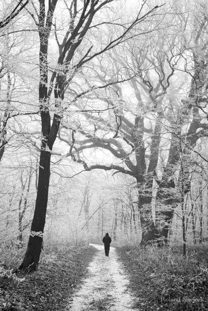 Wanderer im Winterwald | Foto: Roland Strejcek
