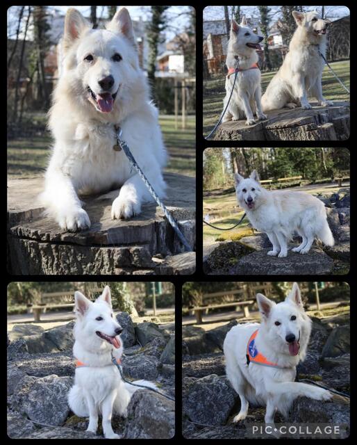 Die Fotos wurden gemacht von Melissa Richter einer Hobbyfotografin für Sabine Kleist und nur mein Bezirk darf diese Fotos verwenden  | Foto: Sabine Frau Kleist und nicht Facebook/Meta