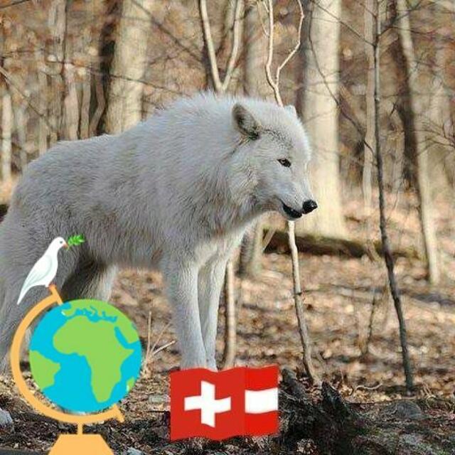 Das ist Kenai ! Er wurde von Ester Puhr beim Ausflug mit Sabine Kleist fotografiert | Foto: Foto gehört Sabine Kleist und nicht Facebook