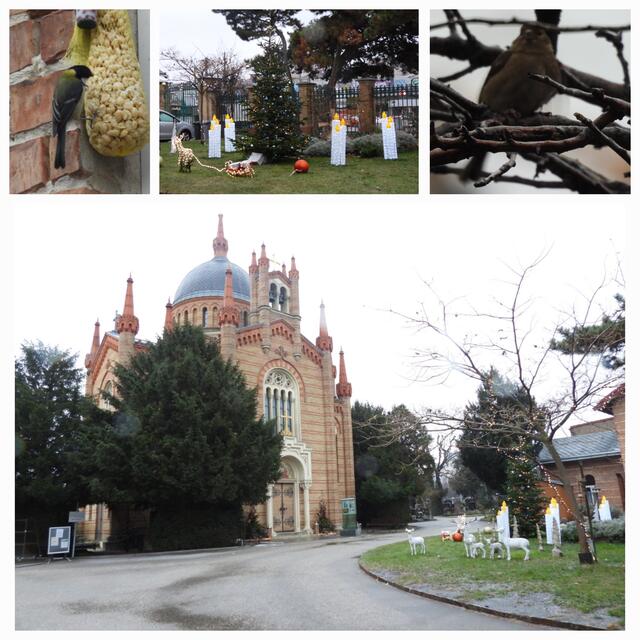 Schnappschüsse von der Vogelzählung am Evangelischen Friedhof Nähe Matzleinsdorfer Platz. Zwischen Adventkranz, Gräbern und Bienenhotel konnte ich u.a. ein paar Meisen und Buchfinken sehen.  | Foto: Zuzana Kobesova 2025