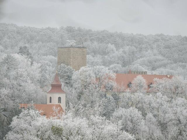 Blick auf Kirche und Schloss Enzesfeld  | Foto: Anton Kroh 