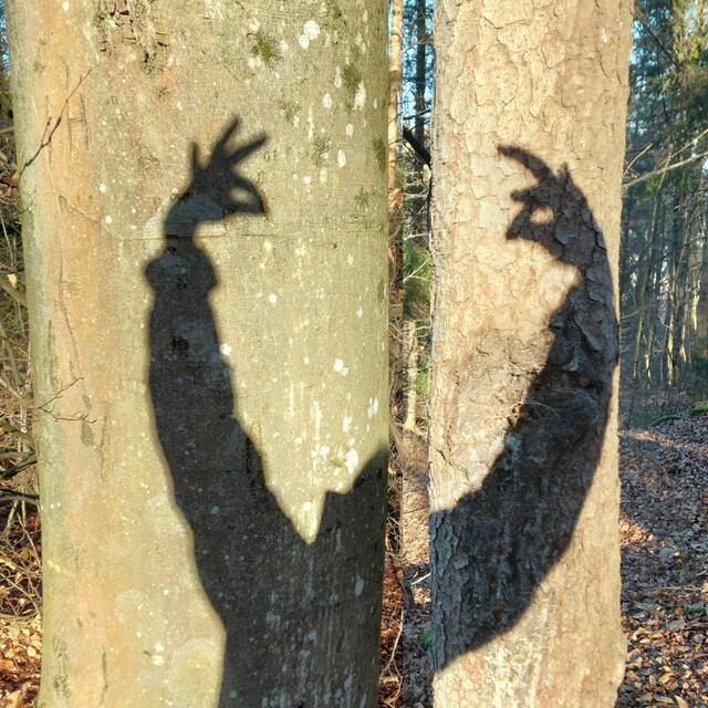 ...wenn's nix mehr zum Lachen gibt, nimm's mit HUMOR...😉🤣...Fasching ist's...🥳🤩

 | Foto: Monika Petanovitsch 