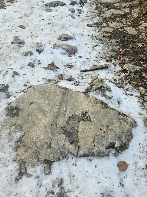 Schnee von Gestern! Römerweg in Kärnten bei Warmbad. | Foto: Alt befahrener Steinweg.
