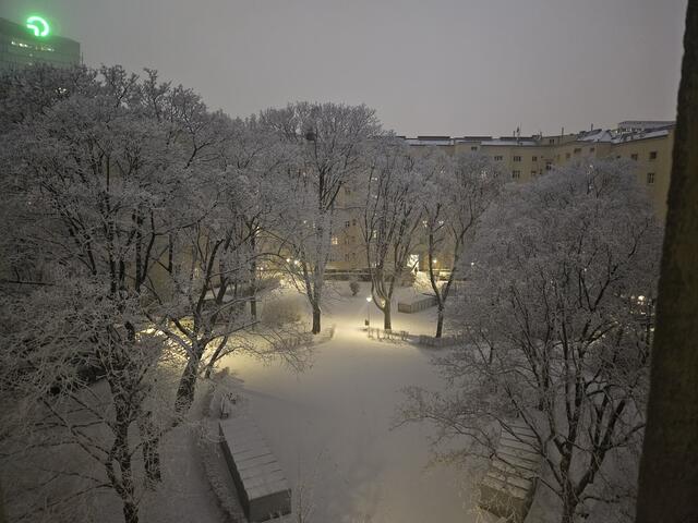 Berühmte Gemwindebau-Innenhöfe in Wien.
Hier Sturhof, frühmorgens nach dem Schneefall. Vor einer Woche. | Foto: Weisses Wunder 