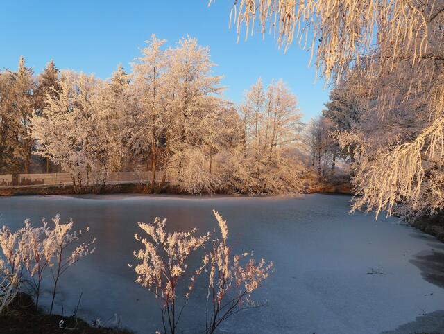 Schöne Abendstimmung mit Raureif an einem Teich bei Sonntagberg