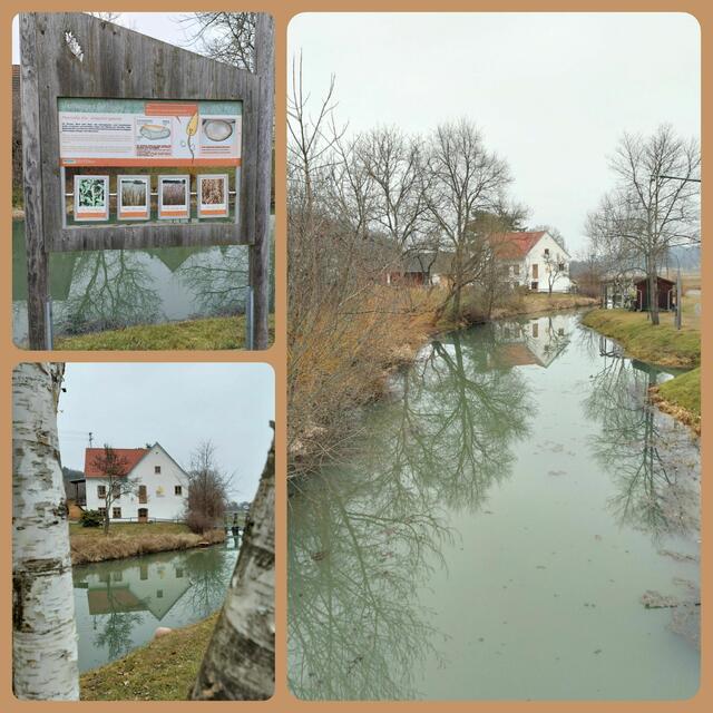 ...die "Jost Mühle" in Windisch-Minihof liegt am Themenpfad "Kornweg", der nach Minihof-Liebau führt. Sehr informative Schautafeln säumen den Weg. Ein beschaulicher Weg, auch jetzt in der Winterszeit, mit einer Länge von ca. 2,8 Kilometern. Besonders interessant für Kinder, da man auch bei einem Kleintiergehege "Saufuß" vorbeikommt.
Start und Ziel des Rundweges ist bei der "Jost Mühle". 

 | Foto: Monika Petanovitsch 