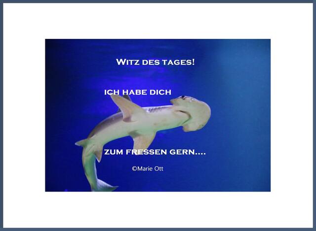 Eat Ich Habe Mich Zum Fressen Gern Witz des Tages - ICH HABE DICH ZUM FRESSEN GERN!