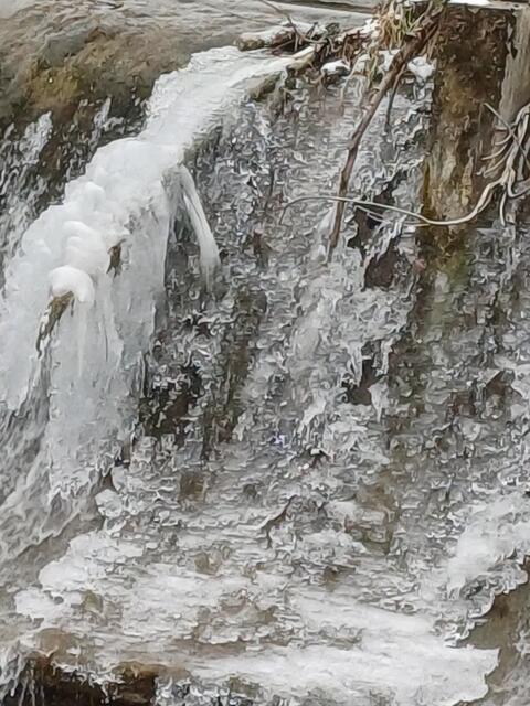 EISIGE ZEITEN AM BACH  | Foto: EBERHARD ISKRATSCH 