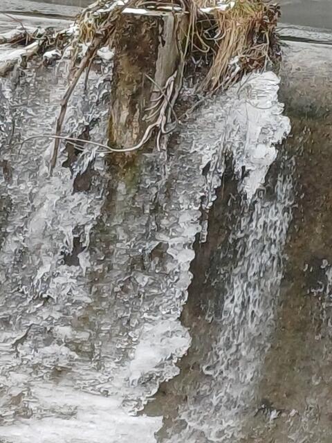 EISIGE ZEITEN | Foto: EBERHARD ISKRATSCH 