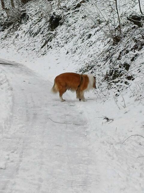 EIN EISIGER TAG | Foto: EBERHARD ISKRATSCH 