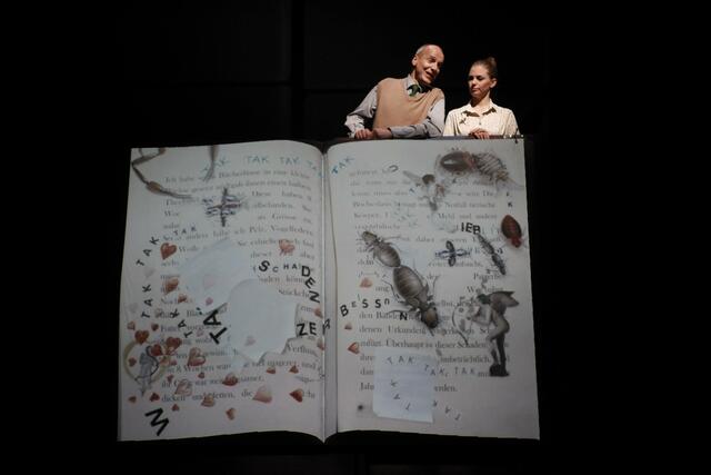 sirene Operntheater 2013: INVENTUR. Operelle von Brigitta Falkner und Fernando Riederer mit einem Trickfilm von Julia Libiseller. Palais Kabelwerk. GATES - GÄSTE - World Music Days der IGNM bei Wien Modern 2013. Im Bild Johann Leutgeb und Theresa Dlouhy.
 | Foto: Andreas Friess