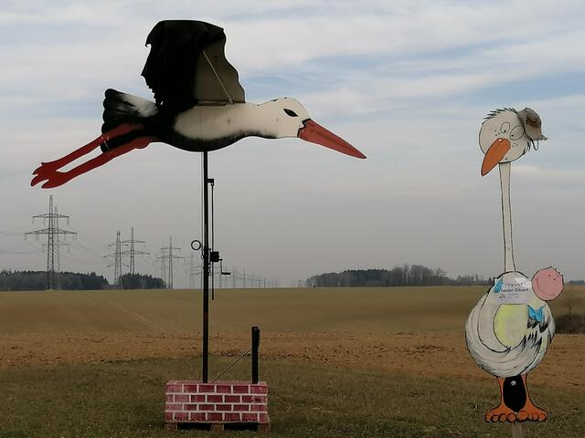 Kommt der Storch und bringt das Baby?