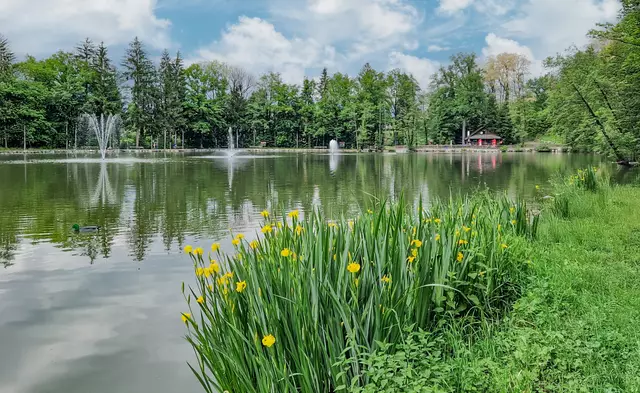 Am Grafenteich in Voitsberg.