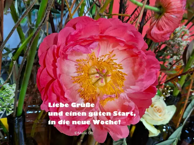 Liebe Grüße und einen guten Start, in die neue Woche!