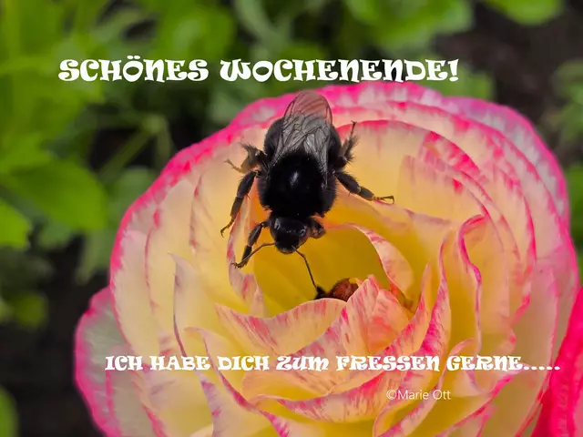 Schönes Wochenende!