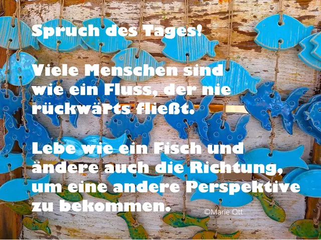 Spruch des Tages, eine andere Perspektive bekommen!