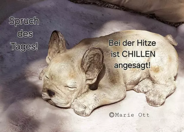 Bei der Hitze ist CHILLEN angesagt! 