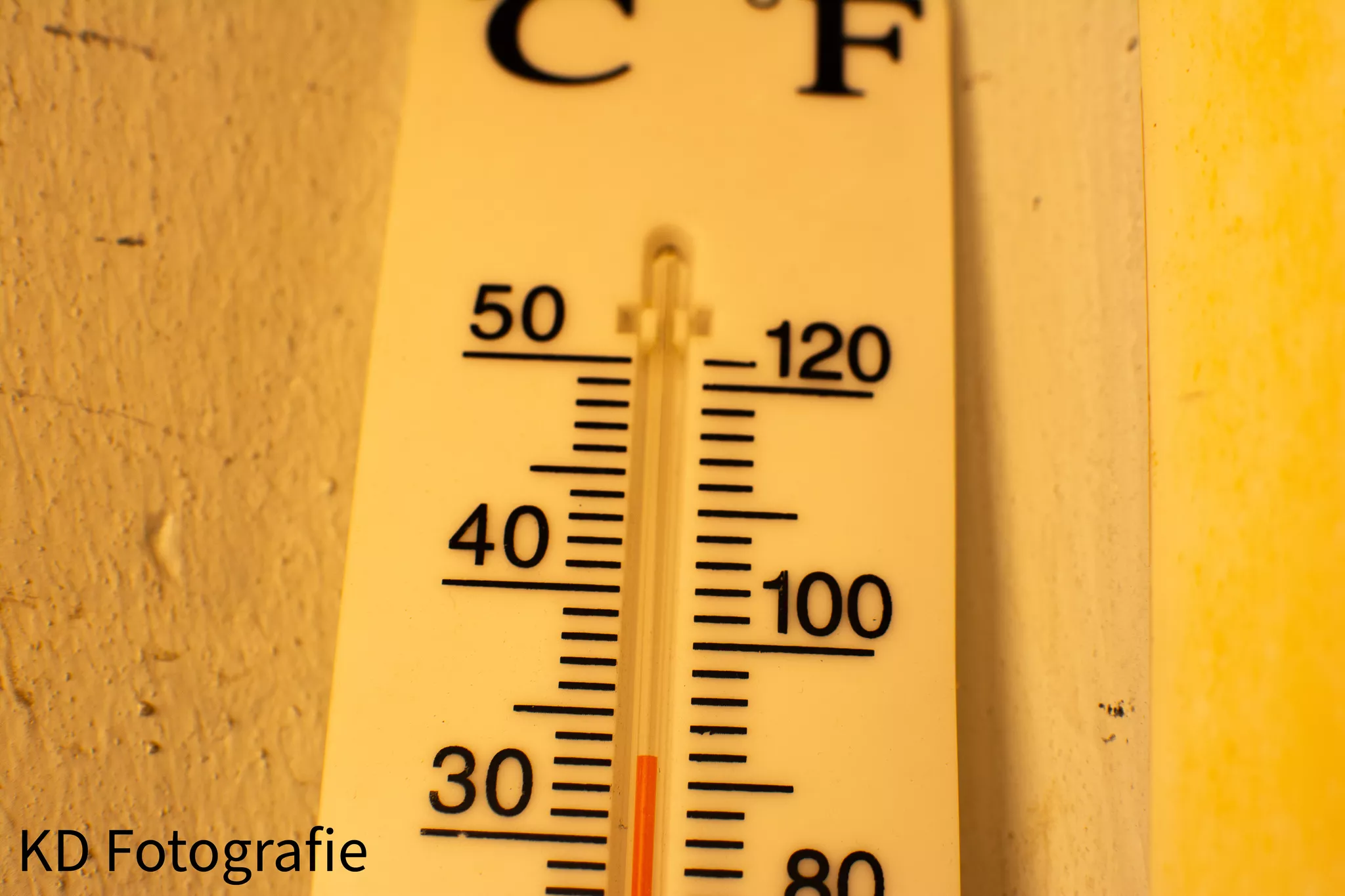 Bitte Sch tzt Euch Heute Vor Der Gro e Hitze Liebe Gr e Kurt bitte-sch-tzt-euch-heute-vor-der-gro-e-hitze-liebe-gr-e-kurt
