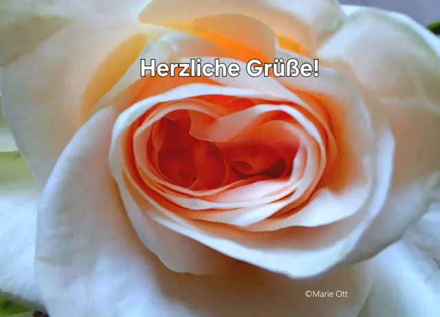 Herzliche Grüße!