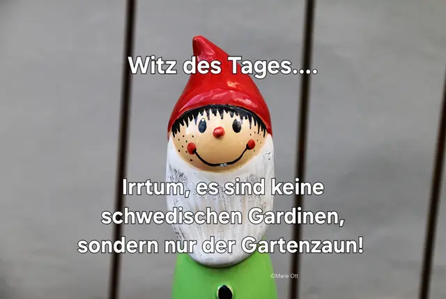 Witz des Tages!