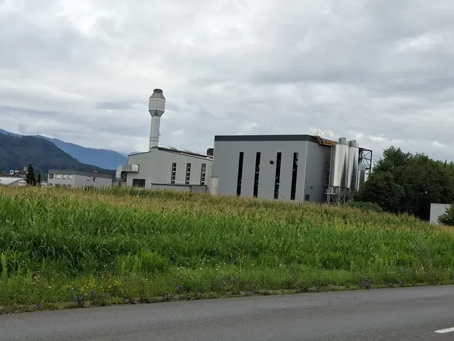 Warum ist der Zubau (noch ohne Kamin?) wesentlich größer wie das bestehende Biomasseheizkraftwerk am Südring? 