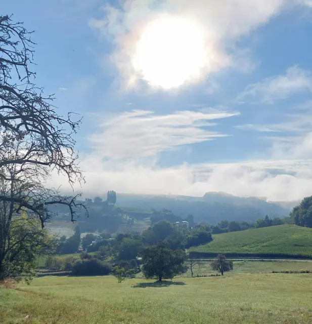 ...am frühen Vormittag des zweiten August: unsere sanfte Hügellandschaft im "Grenzgebiet" zwischen dem Südburgenland und der Südoststeiermark - nahe der Therme Loipersdorf  - Oase für Augen und Seele!


 | Foto: Monika Petanovitsch