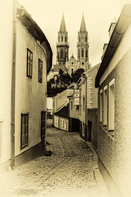 ...im Hintergrund das Stift in Klosterneuburg.....