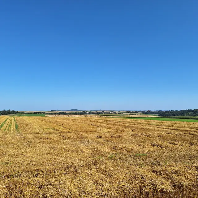 Es ist dies eine unterschätzung des Arbeitsaufwandes!
Tüchtig ein jeder Landwirt.... | Foto: Sibylle 