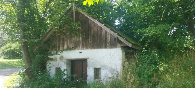 Alte Keller üben eine besondere Faszination aus und haben ihren eigenen Reiz.