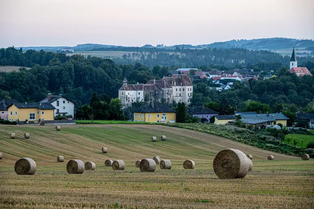 Man könnte fast meinen, steinzeitliche Artefakte aus der Bretagne hätten den Weg ins Thayatal gefunden. 😉