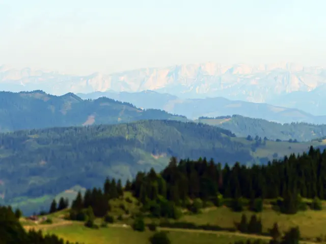 Roland Montaperti | Foto: Roland Montaperti