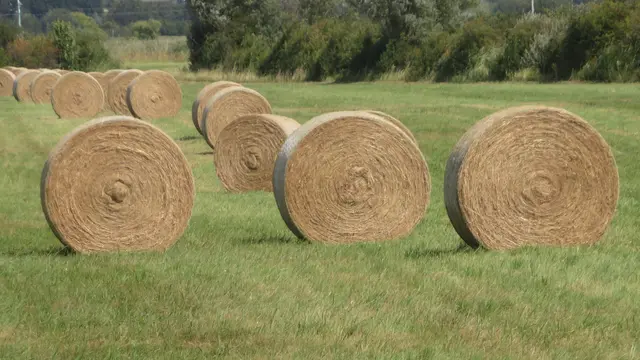 17.08.2025 Heuballen