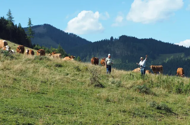 Roland Montaperti | Foto: Roland Montaperti