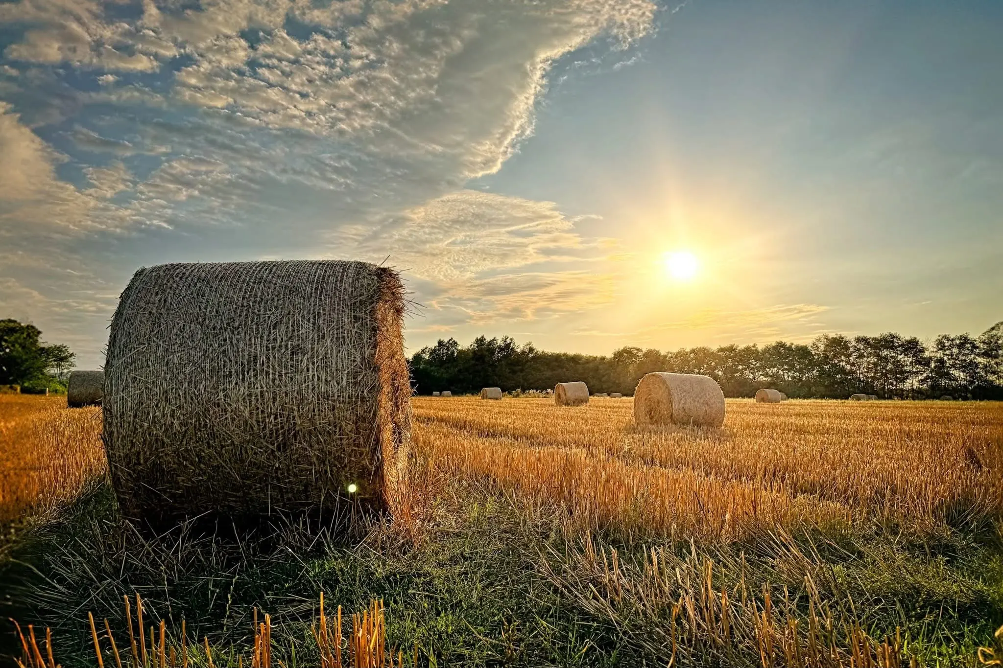 sp-tsommer-und-goldene-farben