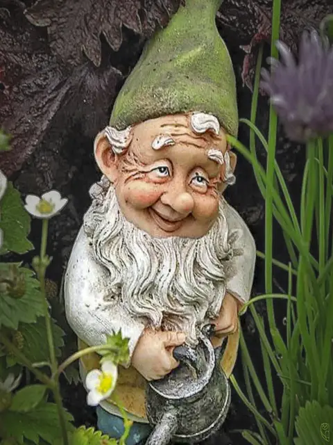 Der Gartenzwerg
Foto: Glaser 