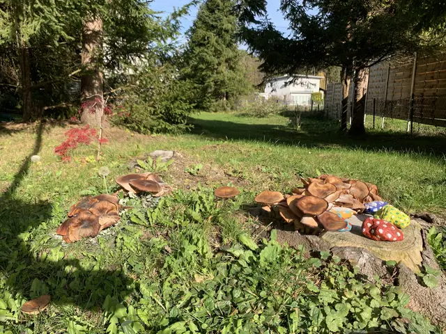 Zitat des Tages: "Ein heller, trockener November gibt Regen und milde Luft im Jänner!"