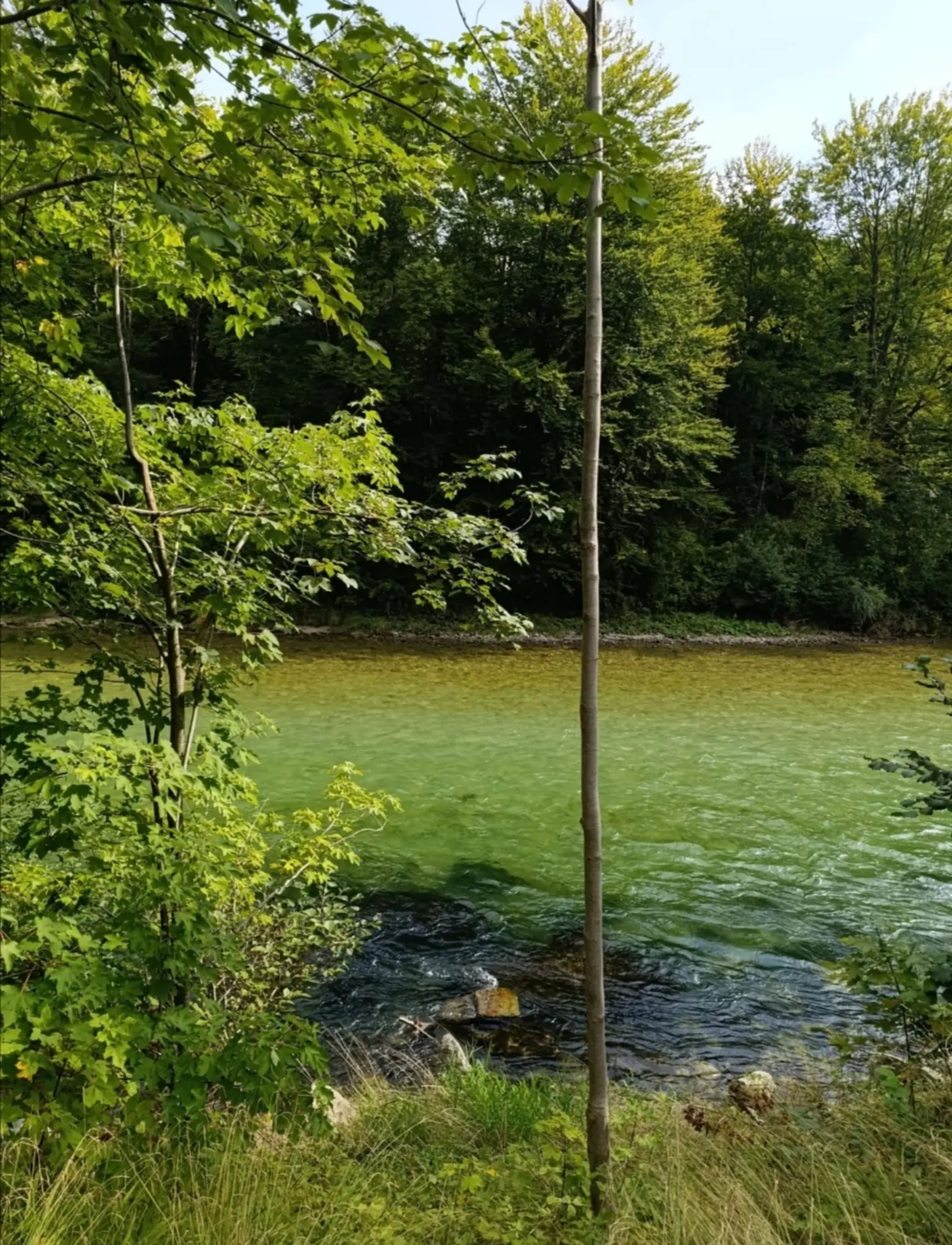 Kyla dodds doggy tokio sex.