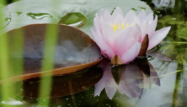 ... ist eine Aufnahme später betrachtet und "beschnitten" auf einmal eine ganz andere.
 | Foto: Friedrich Toussaint