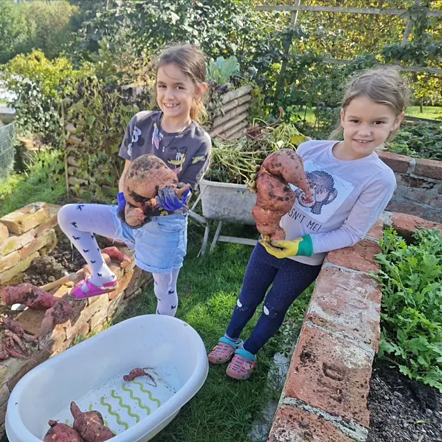 Da staunten Lea und Marie Schrei, als sie die großen Knollen aus Mamas Garten "auspuddelten"! 