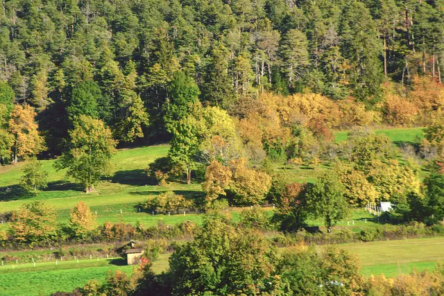 Herbstliche Stanzer Leite | Foto: © by Ing. Günter Kramarcsik
