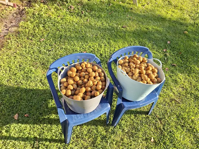 12.10.2025 in Unterkärnten