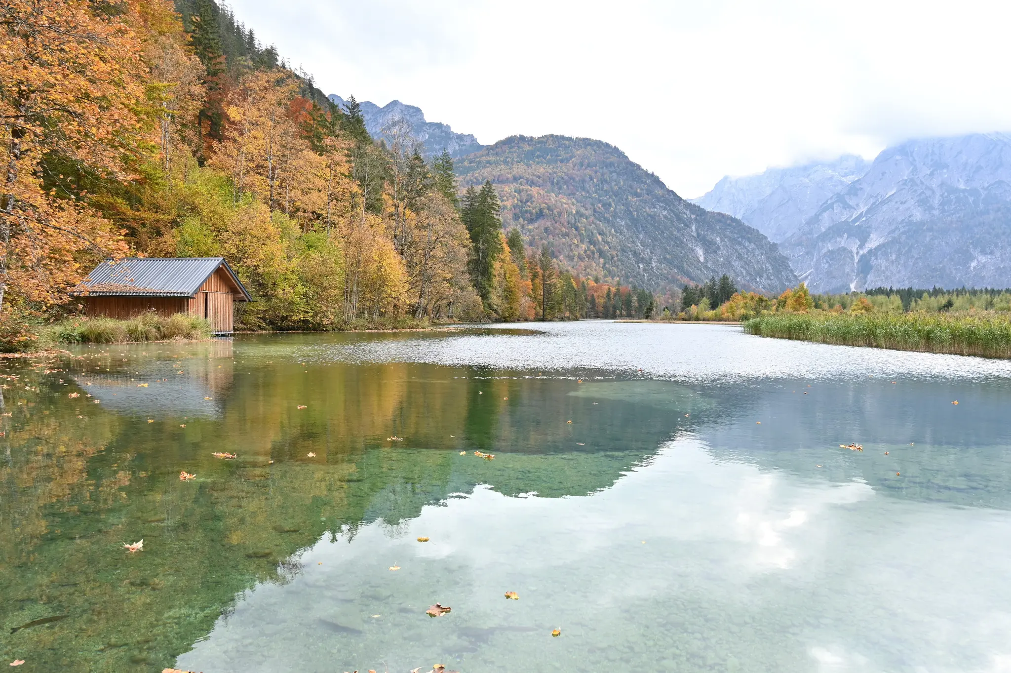 Almsee
